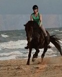 Mit dem Pferd am spanischen Strand