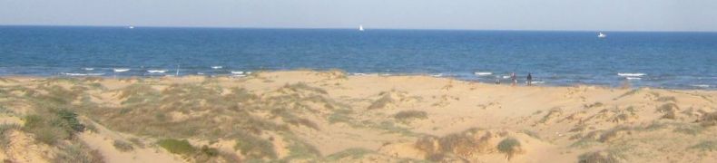 At the beach of the Costa Blanca